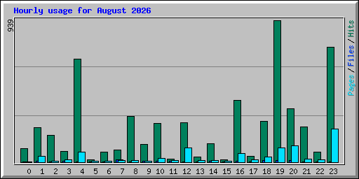 Hourly usage for August 2026