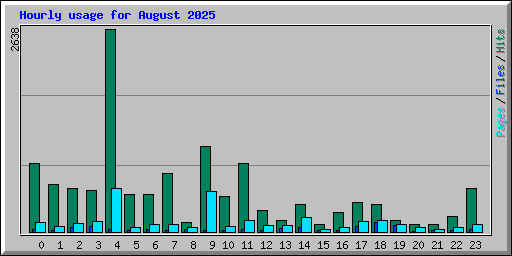 Hourly usage for August 2025