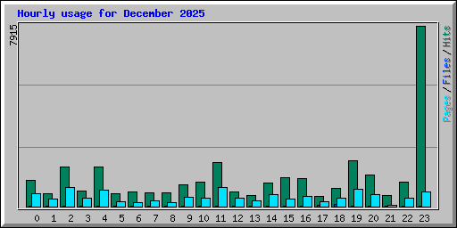 Hourly usage for December 2025