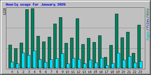 Hourly usage for January 2026