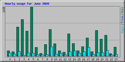 Hourly usage for June 2026