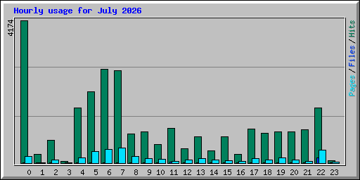 Hourly usage for July 2026