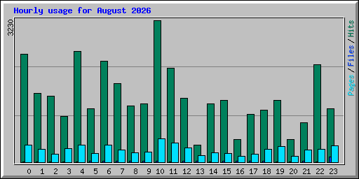 Hourly usage for August 2026