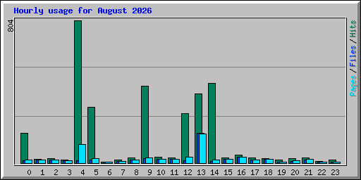 Hourly usage for August 2026