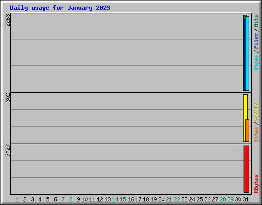 Daily usage for January 2023