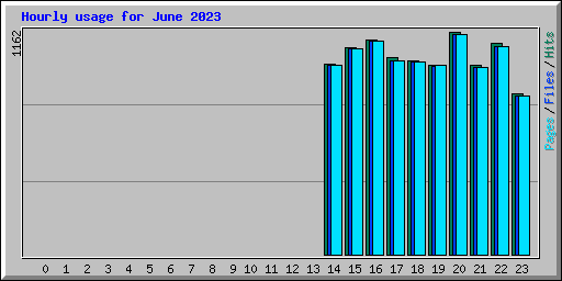 Hourly usage for June 2023