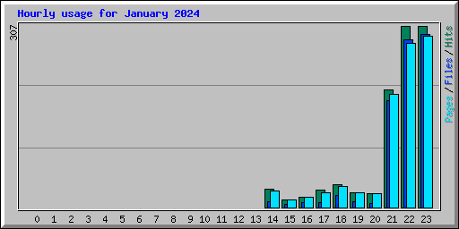 Hourly usage for January 2024