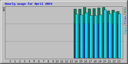 Hourly usage for April 2024