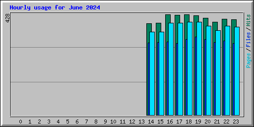 Hourly usage for June 2024