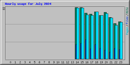 Hourly usage for July 2024