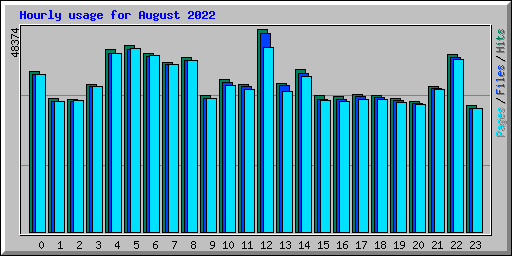 Hourly usage for August 2022