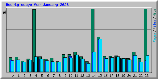Hourly usage for January 2026