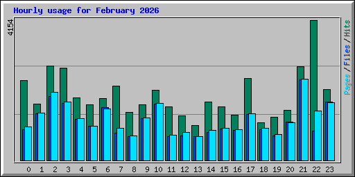 Hourly usage for February 2026