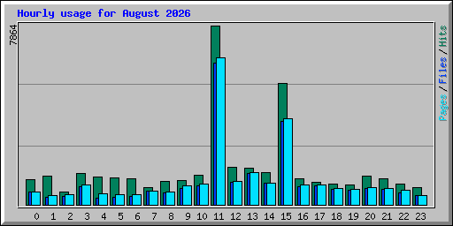 Hourly usage for August 2026