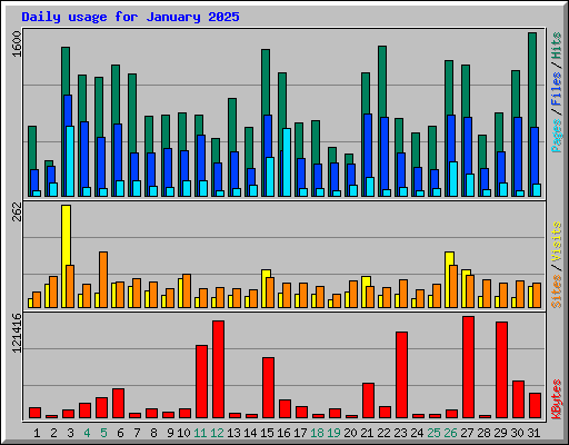 Daily usage for January 2025