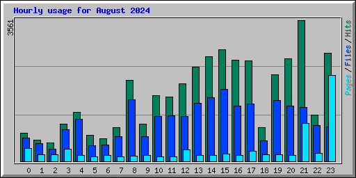 Hourly usage for August 2024
