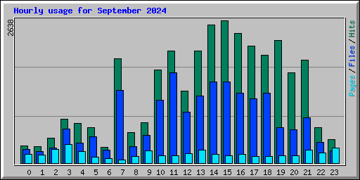 Hourly usage for September 2024