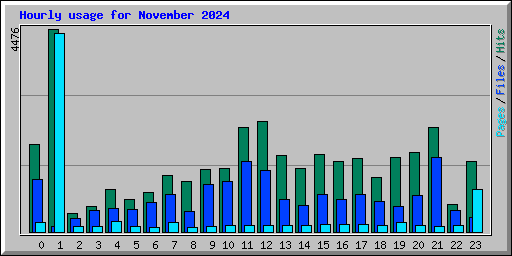 Hourly usage for November 2024