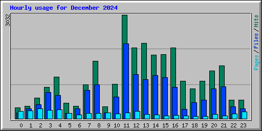 Hourly usage for December 2024