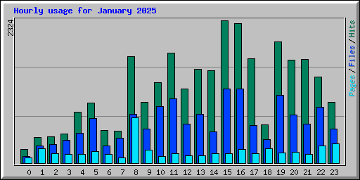 Hourly usage for January 2025