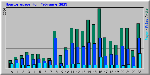 Hourly usage for February 2025