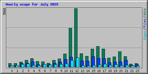 Hourly usage for July 2025