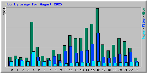 Hourly usage for August 2025