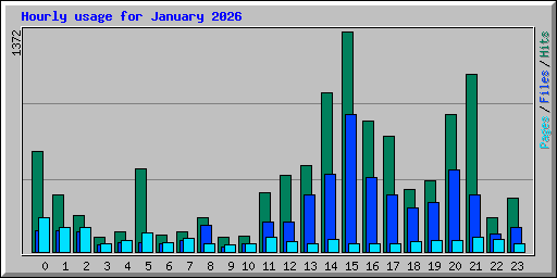 Hourly usage for January 2026
