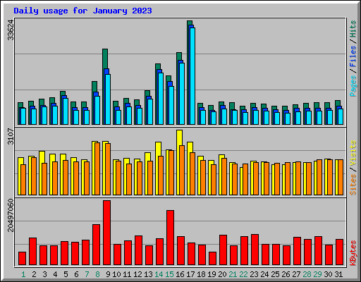 Daily usage for January 2023