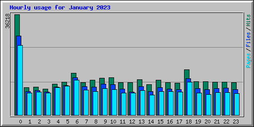 Hourly usage for January 2023
