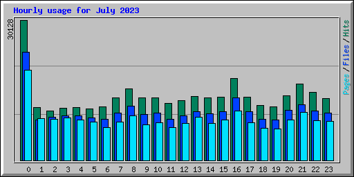 Hourly usage for July 2023