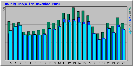 Hourly usage for November 2023