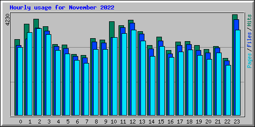 Hourly usage for November 2022