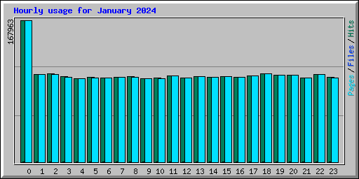 Hourly usage for January 2024