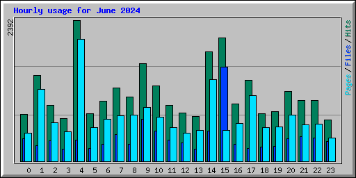 Hourly usage for June 2024