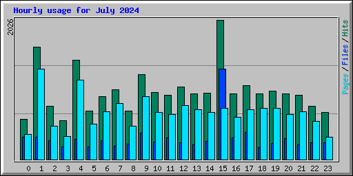 Hourly usage for July 2024