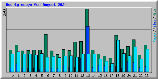 Hourly usage for August 2024