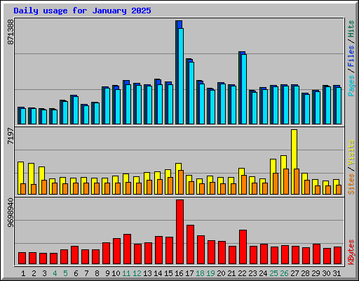 Daily usage for January 2025