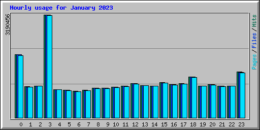 Hourly usage for January 2023
