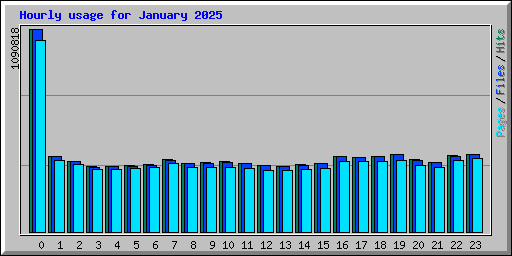 Hourly usage for January 2025