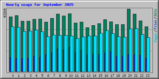 Hourly usage for September 2025