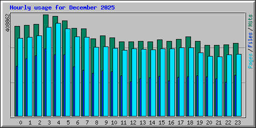 Hourly usage for December 2025