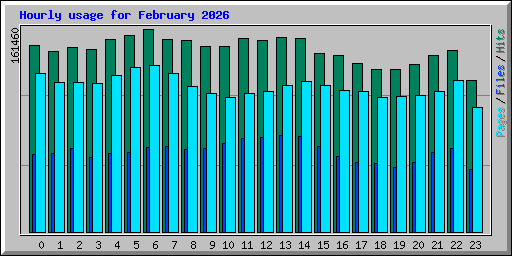 Hourly usage for February 2026