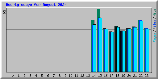 Hourly usage for August 2024
