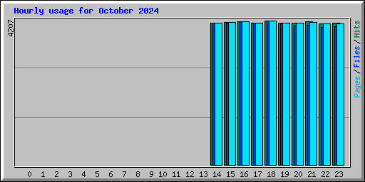 Hourly usage for October 2024