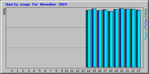 Hourly usage for November 2024