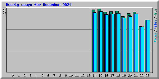 Hourly usage for December 2024