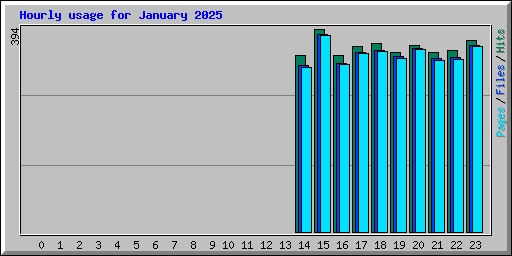 Hourly usage for January 2025