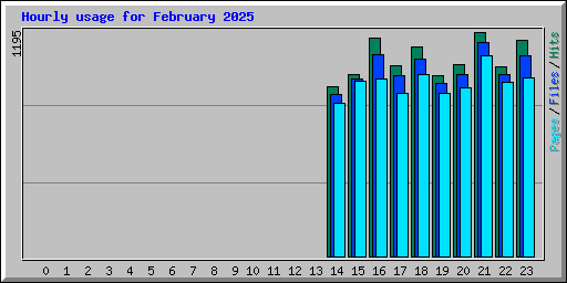 Hourly usage for February 2025