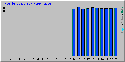 Hourly usage for March 2025